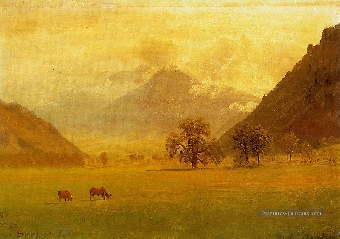 Vallée du Rhône Albert Bierstadt Peintures à l'huile